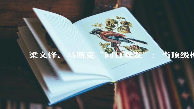 梁文锋、马斯克“同日双发”：当顶级模型性能价格双杀，谁先被推进“斩杀区”？_Fable_Pro_DeepSeek