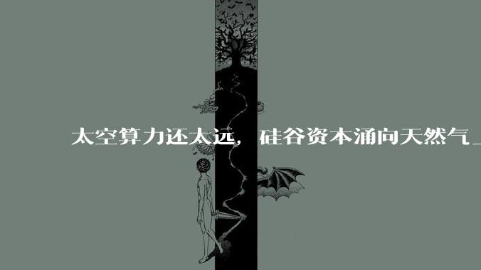 太空算力还太远，硅谷资本涌向天然气_能源_发电_电网