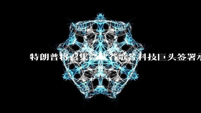 特朗普将召集微软谷歌等科技巨头签署承诺：自行承担数据中心电费_电价上涨_公司_美国