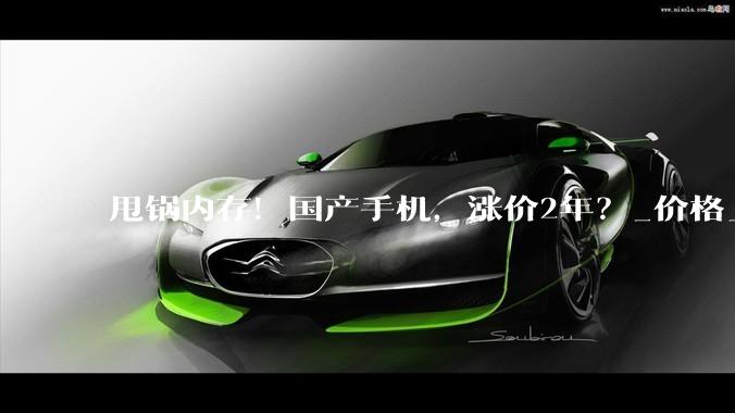 甩锅内存！国产手机，涨价2年？_价格_高性能_国际数据公司