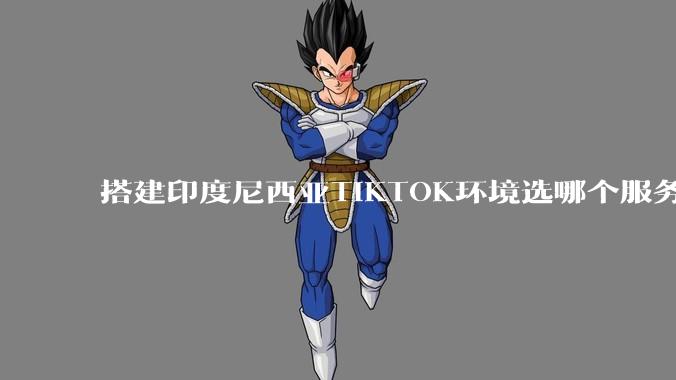 搭建印度尼西亚TIKTOK环境选哪个服务器 印度尼西亚高性价比vps推荐 - *