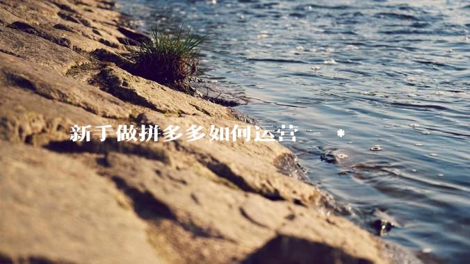 新手做拼多多如何运营 - *