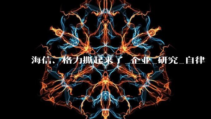 海信、格力撕起来了_企业_研究_自律