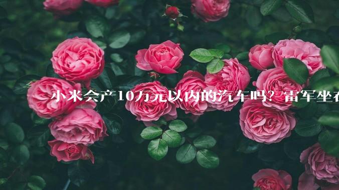 小米会产10万元以内的汽车吗？雷军坐在新SU7上回应：10年以内很难做到_智能_直播_刘琴