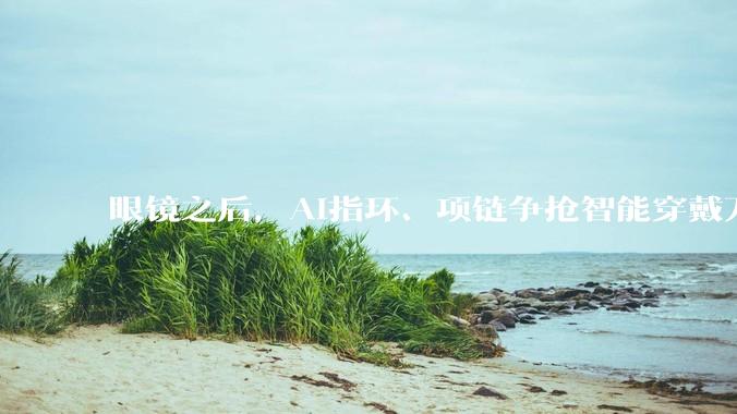眼镜之后，AI指环、项链争抢智能穿戴万亿风口_戒指_Oura_监测
