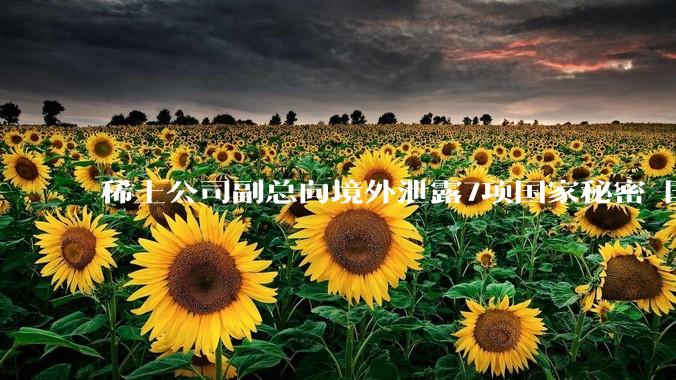 稀土公司副总向境外泄露7项国家秘密 国家安全部披露详情_管理_产业链_数据