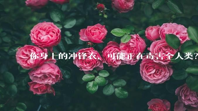 你身上的冲锋衣，可能正在毒害全人类？_有毒_含氟_的材料