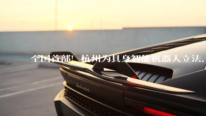 全国首部！杭州为具身智能机器人立法，今起正式“持证上岗”_产业_条例_发展