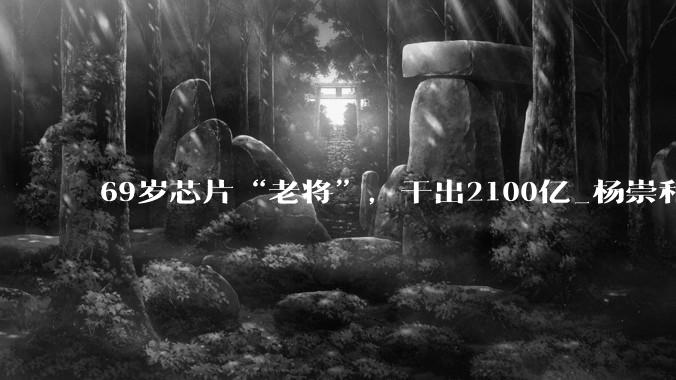 69岁芯片“老将”，干出2100亿_杨崇和_科技_内存