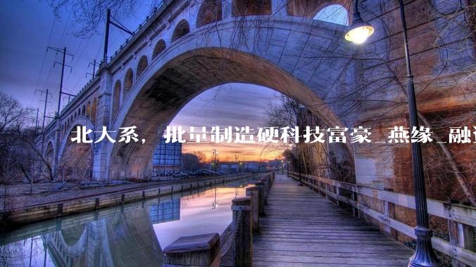 北大系，批量制造硬科技富豪_燕缘_融资_机器人