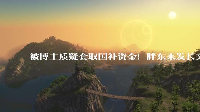被博主质疑套取国补资金！胖东来发长文否认：不存在 产品均明码标价_王海_空调_价格欺诈