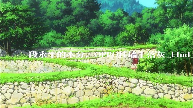 段永平的本分，OPPO挂墙上落灰_Find_学苹果_钱包