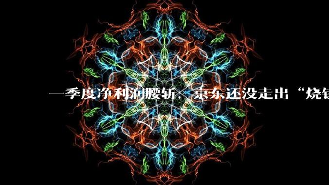 一季度净利润腰斩，京东还没走出“烧钱阵痛”_业务_同比增长_Joybuy