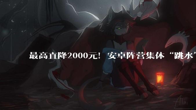 最高直降2000元！安卓阵营集体“跳水”，618价格战全面开启_旗舰_小米_Pro