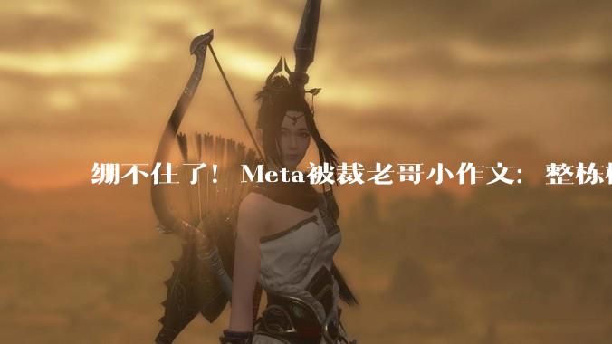 绷不住了！Meta被裁老哥小作文：整栋楼都在讲普通话_中国_工作_吐槽