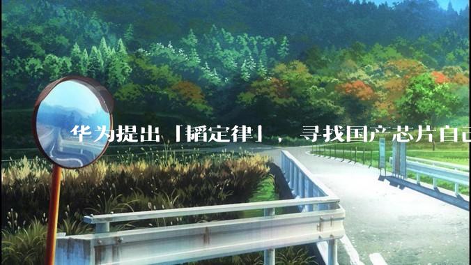 华为提出「韬定律」，寻找国产芯片自己的进化方向_晶体管_技术_导线