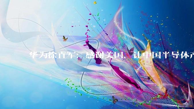 华为徐直军：感谢美国，让中国半导体产业链真正成长_芯片_定律_何式