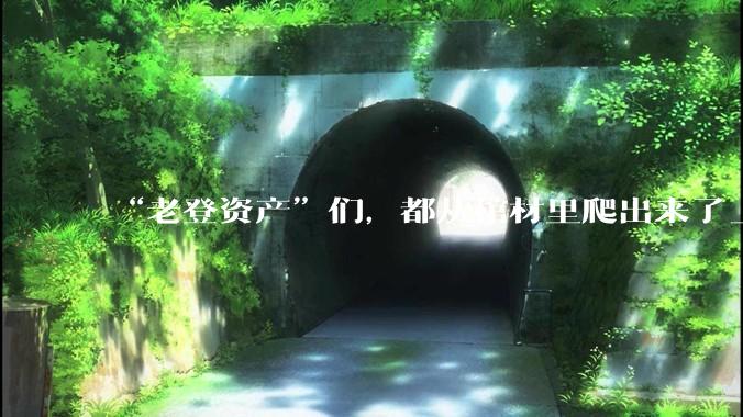 “老登资产”们，都从棺材里爬出来了_戴尔_科技_传统
