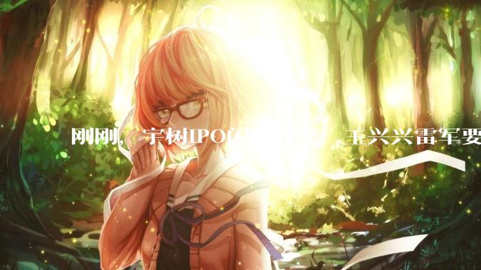 刚刚，宇树IPO闪电过会！王兴兴雷军要上岸了_机器人_科技_人形