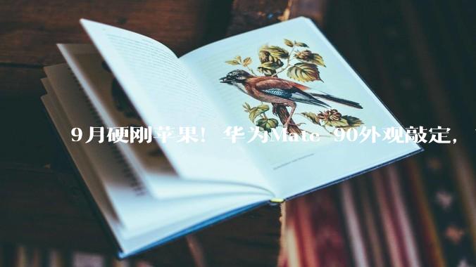 9月硬刚苹果！华为Mate 90外观敲定，首发“逻辑折叠”麒麟芯亮剑_系列_Pro_技术实力