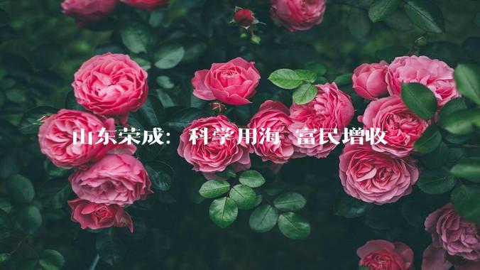 山东荣成：科学用海 富民增收