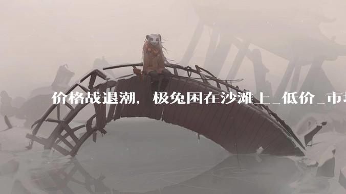 价格战退潮，极兔困在沙滩上_低价_市场_管理
