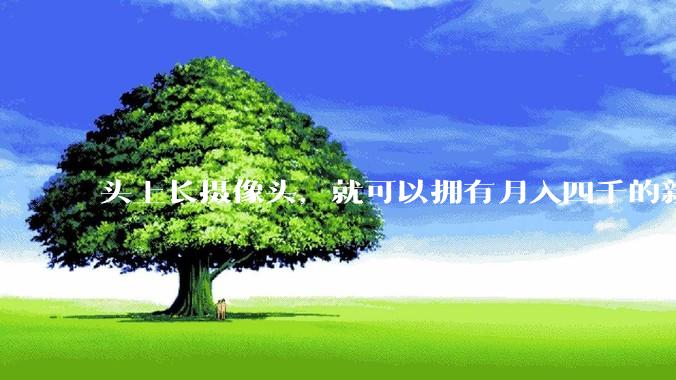 头上长摄像头，就可以拥有月入四千的新副业吗？_数据_世超_机器人