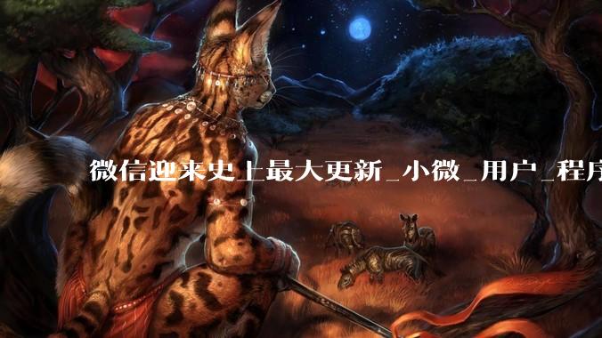 微信迎来史上最大更新_小微_用户_程序