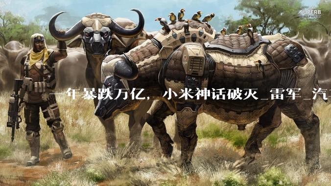 一年暴跌万亿，小米神话破灭_雷军_汽车_股价