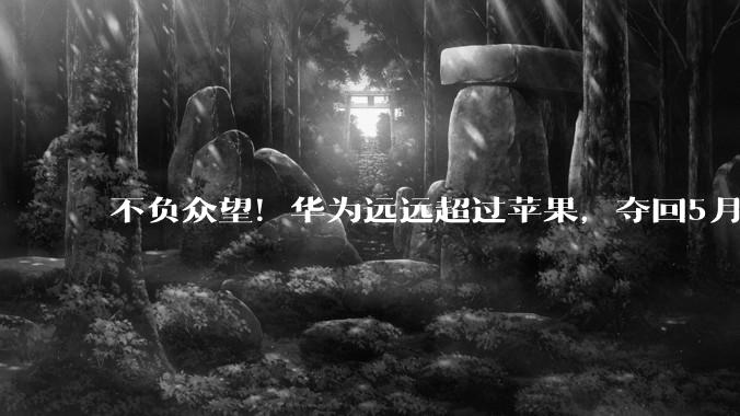 不负众望！华为远远超过苹果，夺回5月份国内手机市场第一！_份额_品牌_国产