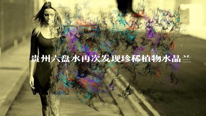 贵州六盘水再次发现珍稀植物水晶兰