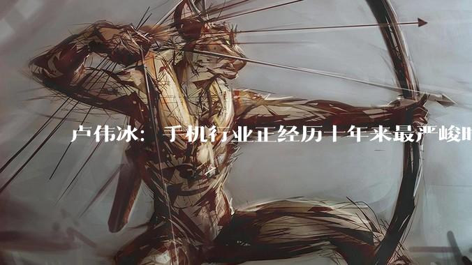 卢伟冰：手机行业正经历十年来最严峻时刻！千元机受伤最严重_的成本_价格_定价