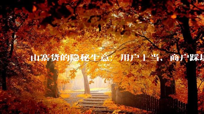 山寨货的隐秘生意：用户上当、商户踩坑，当充电宝充满的是套路_品牌_智葱_消费者
