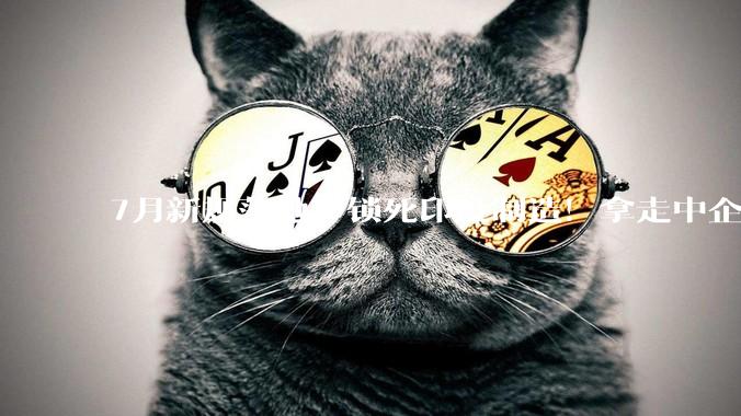 7月新规落地，锁死印度制造！拿走中企的48亿，莫迪终究要还了_技术_良率_审查