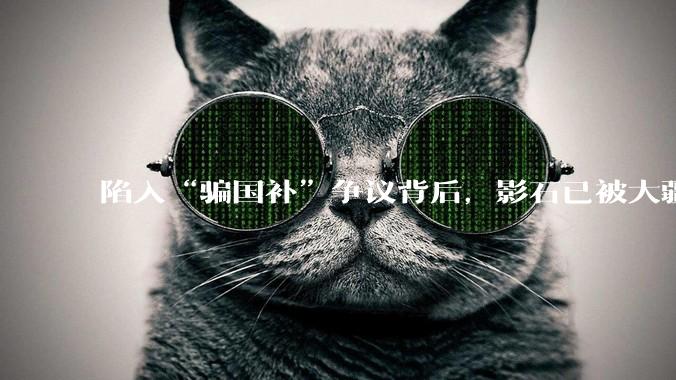 陷入“骗国补”争议背后，影石已被大疆“击穿”_Luna_Ultra_相机