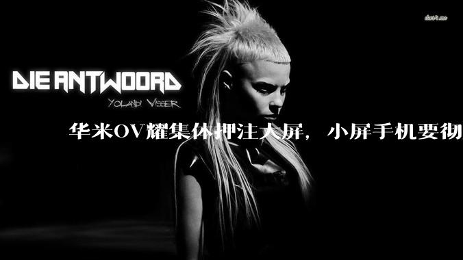 华米OV耀集体押注大屏，小屏手机要彻底凉了？_屏幕_vivo_直板机