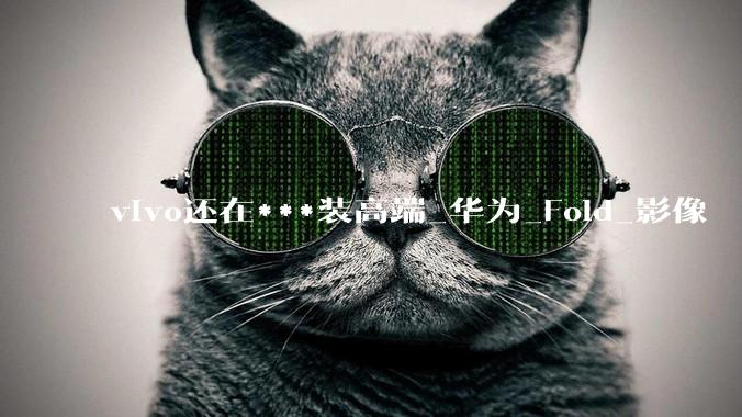 vivo还在***装高端_华为_Fold_影像