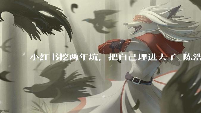 小红书挖两年坑，把自己埋进去了_陈浩_阿里_公司