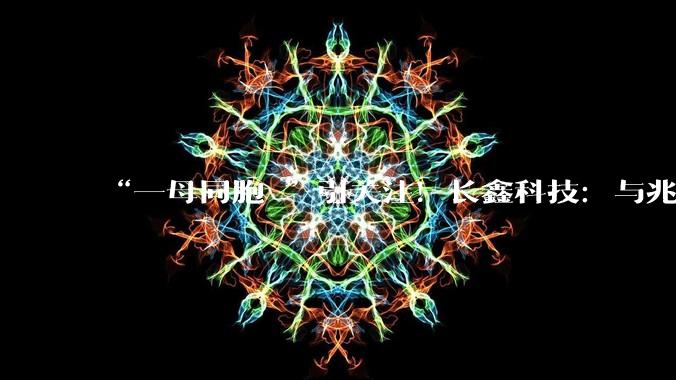 “一母同胞 ”引关注！长鑫科技：与兆易创新不存在利益输送_朱一明_公司_主营业务