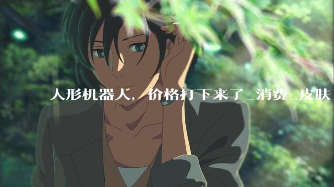 人形机器人，价格打下来了_消费_皮肤_电子