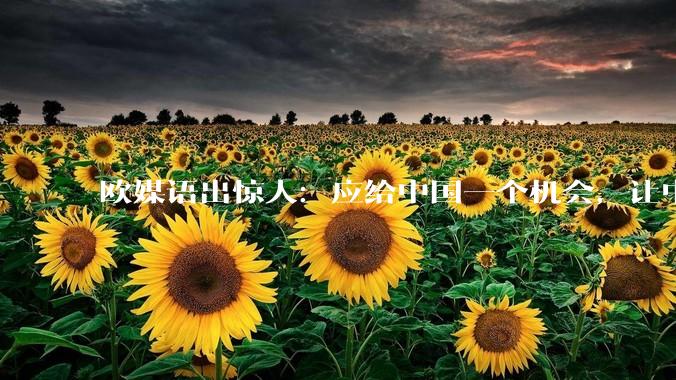 欧媒语出惊人：应给中国一个机会，让中国帮欧洲成为世界的领导者_技术_中小企业_领域