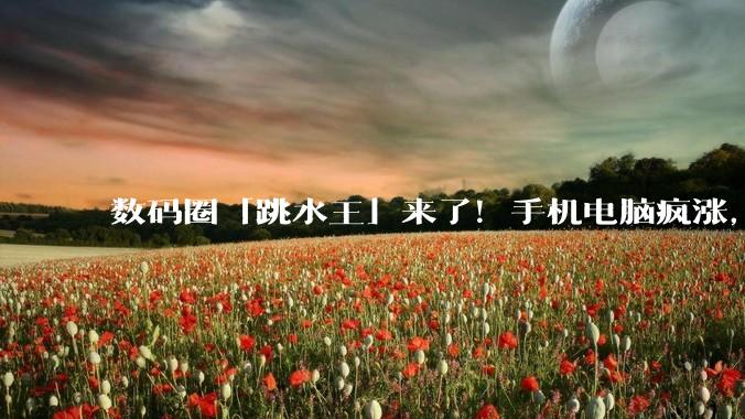数码圈「跳水王」来了！手机电脑疯涨，相机价格却崩了_存储_产能_成本