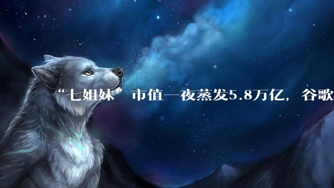 “七姐妹”市值一夜蒸发5.8万亿，谷歌、特斯拉现金流首度告负，AI豪赌的账本亮红灯_资本开支_业务_债务规模