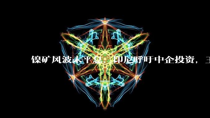 镍矿风波未平息，印尼呼吁中企投资，王毅当面提醒：搞好营商环境_中国_中资企业_中方