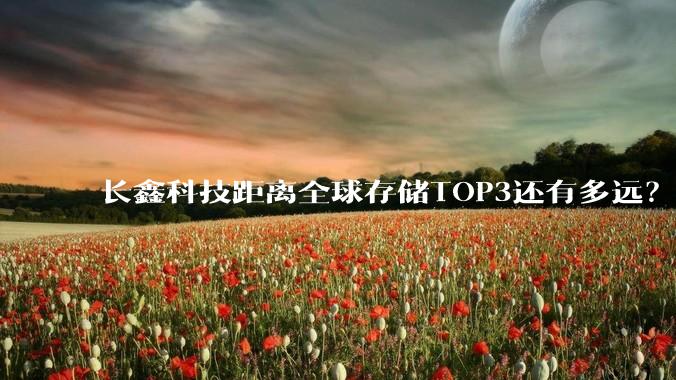 长鑫科技距离全球存储TOP3还有多远？_产能_市场_挑战者