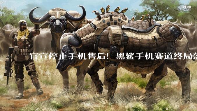 官宣停止手机售后！黑鲨手机赛道终局落幕_游戏_官方_品牌