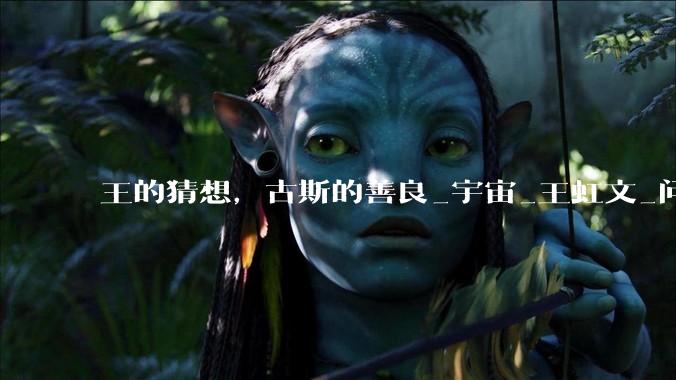 王的猜想，古斯的善良_宇宙_王虹文_问题