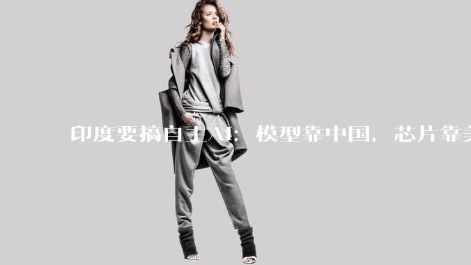 印度要搞自主AI：模型靠中国，芯片靠美国_巴拉特·雷迪_成本更低_企业