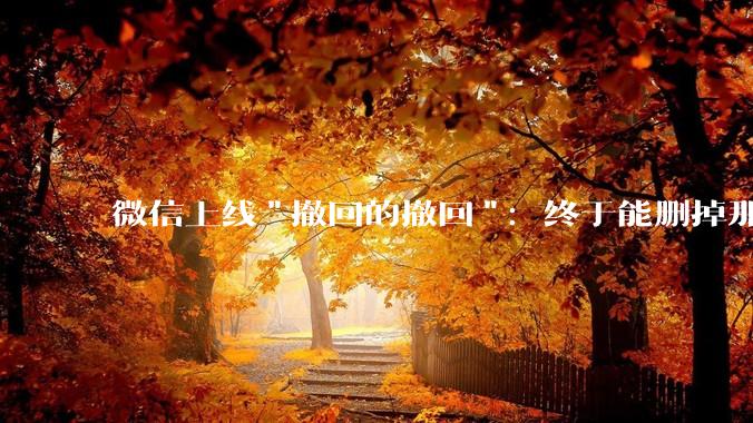 微信上线"撤回的撤回"：终于能删掉那行碍眼的灰色提示了 - *