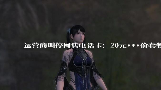 运营商叫停网售电话卡：20元***价套餐换“马甲”，你的流量悄悄变贵_渠道_资费_App